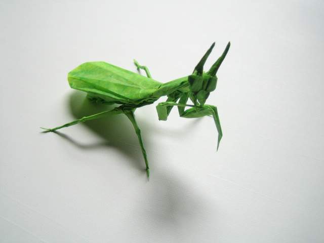 Origami of Natural Sciences